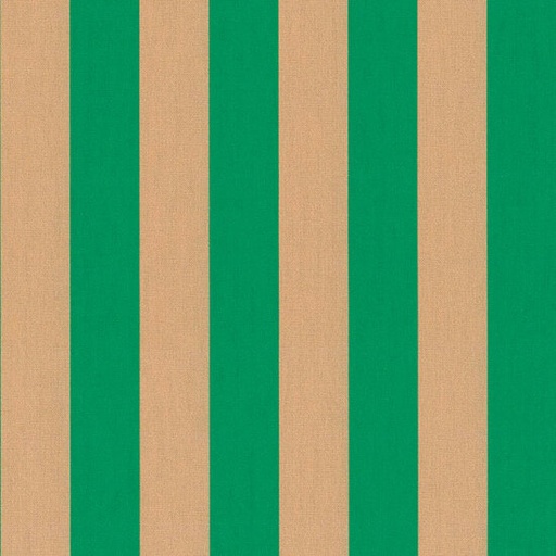 Canvas - Strepen groen zalm breed