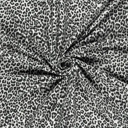 French terry - Leopard grijze tint