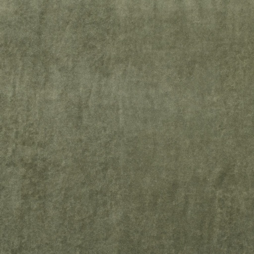 Nicky velours 2 - Mosgroen 39