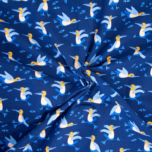 Jersey - Blauwvogel met blauwvoet